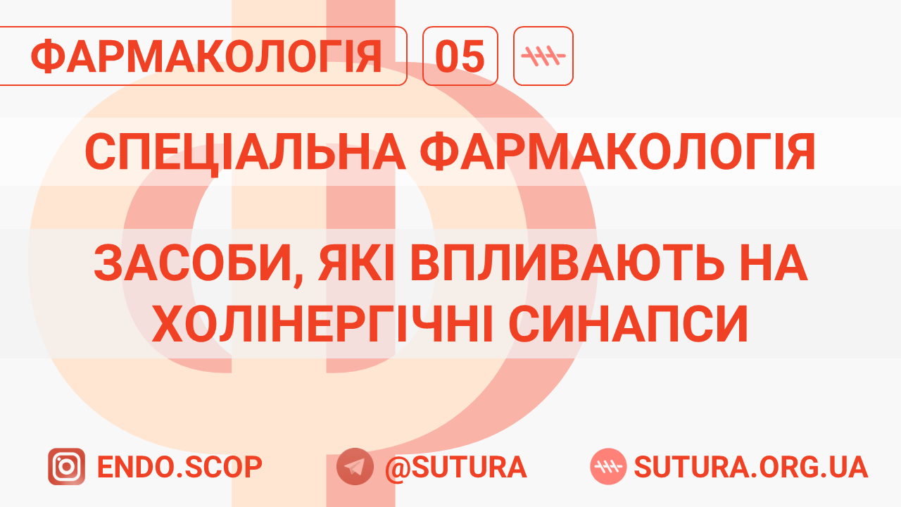 засоби, які впливають на холінергічні синапси