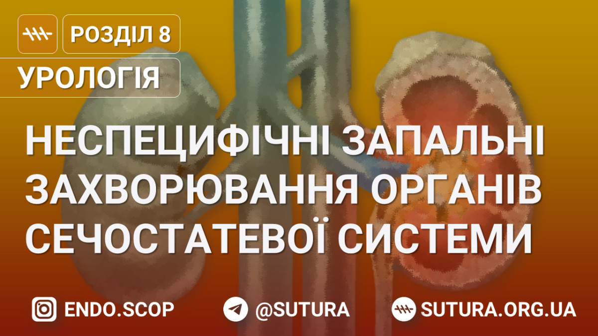 Неспецифічні запальні захворювання органів сечостатевої системи