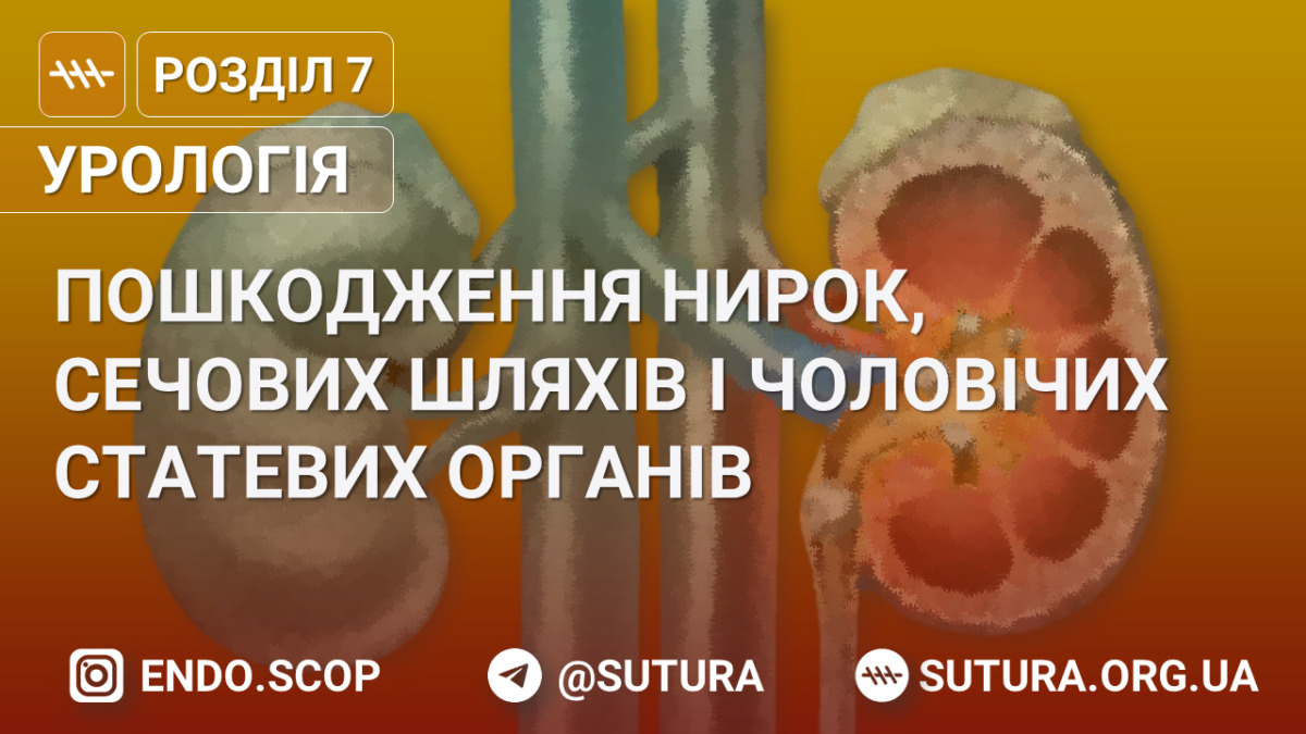 Пошкодження нирок, сечових шляхів і чоловічих статевих органів