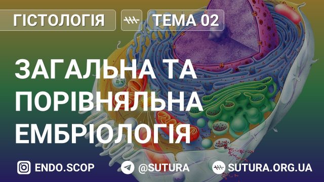 Загальна та порівняльна ембріологія