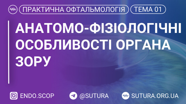 Анатомо-фізіологічні особливості органа зору