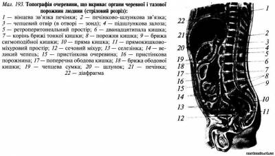 Поділ очеревинної порожнини на поверхи Поділ очеревинної порожнини на поверхи