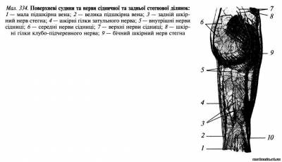 Cіднична ділянка Cіднична ділянка